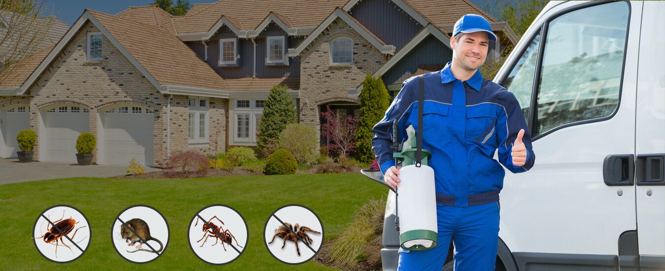 Pest Exterminator