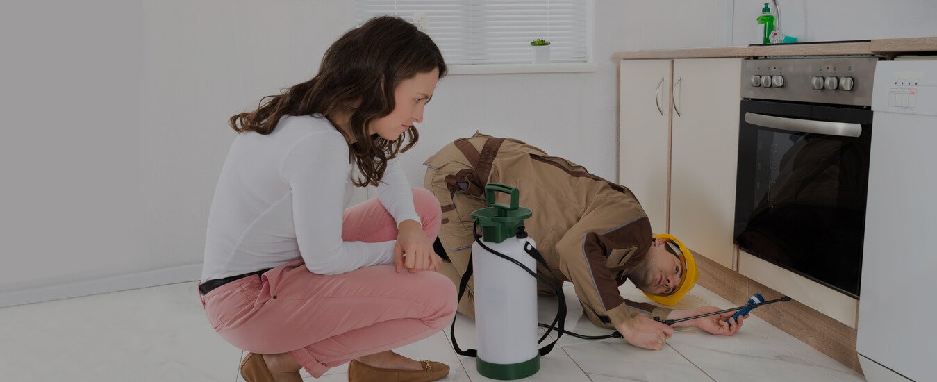 Pest Removal Services