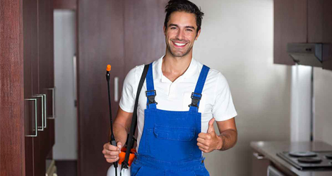 Why It Is Necessary to Get A Pest Control Service Periodically?